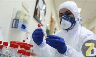 خبير صحة يتوقع انخفاض الإصابات والوفيات بسبب كورونا نهاية الشهر الجاري