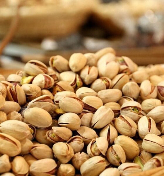 تركيا تصدر قراراً هاماً بشأن الفستق الحلبي