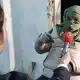 تركيا تقبض على مهرب بشر سوري بعد ظهوره في لقاء تلفزيوني