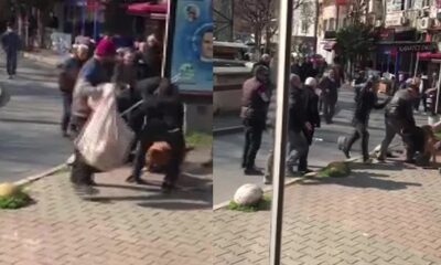 بطلب من صاحبه.. كلب بيتبول يهاجم 3 شبان في إسطنبول (فيديو)