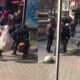 بطلب من صاحبه.. كلب بيتبول يهاجم 3 شبان في إسطنبول (فيديو)