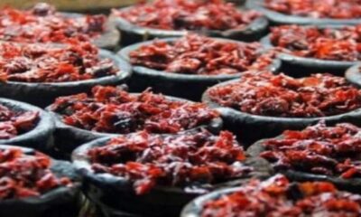 توقيف سوريين يصنعان "المعسّل" ويتاجران به
