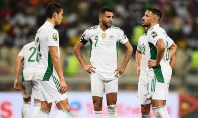 قناة الريان بث مباشر