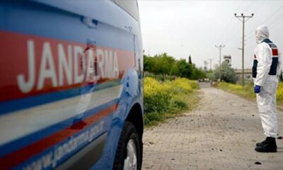 ينتقل عبر الذباب.. انتشار فيروس جديد معدي في ولاية تركية