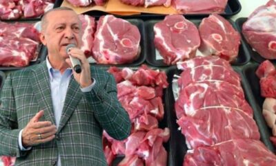 بشرى سارة من الرئيس أردوغان حول أسعار اللحوم قبل دخول شهر رمضان