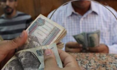 سعر الدولار في السوق السوداء في مصر اليوم 365 الان