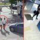 الشرطة التركية تلاحق منفذي سطو مسلّح على بنك بإسطنبول