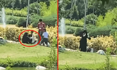 هل قامت سيدتان أجنبيتان بسرقة الأوز من حديقة في إسطنبول.. الشرطة التركية توضح!