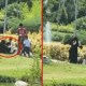 هل قامت سيدتان أجنبيتان بسرقة الأوز من حديقة في إسطنبول.. الشرطة التركية توضح!