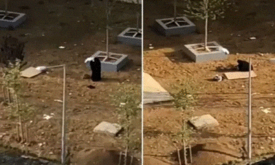 تركية تدفن زوجها حياً بعد صعقه بالكهرباء في إسطنبول!