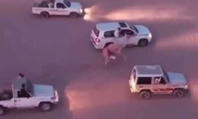 لحظة حرجة.. شاهد بطولة سعودي ينقذ طفلاً كادت تدهسه الإبل