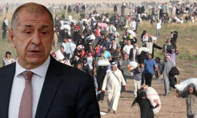 السوريون يطلقون حملة طالبوا فيها باعتقال أوميت أوزداغ، والأخير يرد!