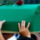 يؤدي للوفاة.. أخطر مرض في تركيا يعود مع نوع جديد من فصيلته