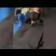 فيديو البنت الهندية التي قتلت كامل