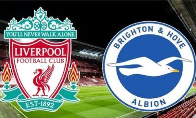 مشاهدة مباراة ليفربول اليوم بدون تقطيع |مشاهدة مباراة ليفربول وبرايتون بث مباشر اليوم | مشاهدة مباراة ليفربول وبرايتون بث مباشر يلا شوت