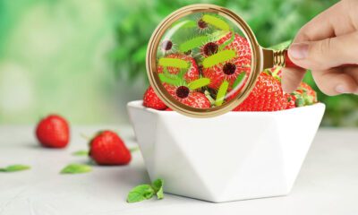 تعيش في اللحوم والآيس كريم.. كيف أحمي نفسي من “الليستيريا”؟