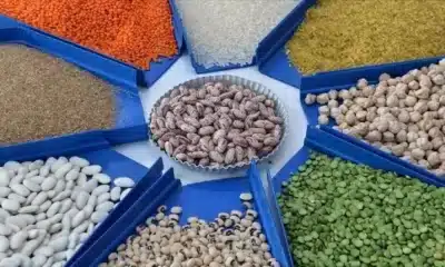 تركيا تعرض تخزين الحبوب الروسية على أراضيها