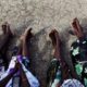 عادة سودانية ولا أغرب في الأعراس.. جلد الضيوف بالسياط!