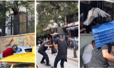 صراع مستعر بين أصحاب المتاجر والغربان في كاديكوي بإسطنبول (صور)