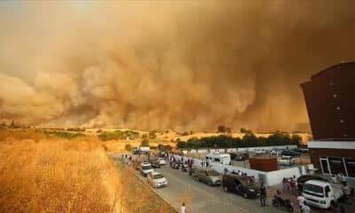حرائق الغابات في إسطنبول تهدد المباني السكنية