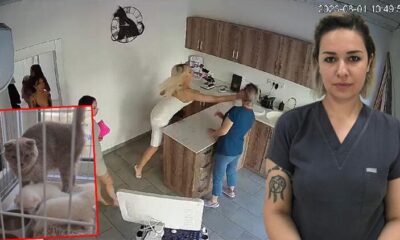 متحولون يشنون هجوم على طبيبة بيطرية لهذا السبب!