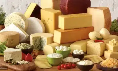 شركة أجبان تركية شهيرة تعترف بالاحتيال