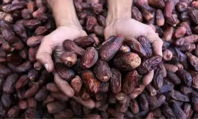 ارتفاع كبير في أسعار التمور في شهر رمضان بتركيا
