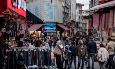 اعتقال مواطنة تركية بعد توجيهها إهانات لأردوغان في مقابلة شارع