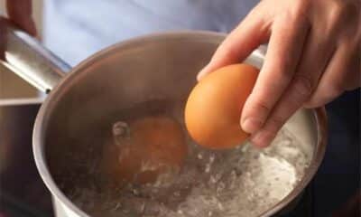 ما هو السر في إضافة ملعقة من الخل عند سلق البيض؟