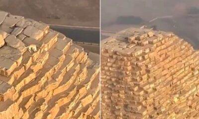 ظهور كائن غير متوقع على قمة هرم خوفو يثير الجدل في مصر (فيديو)