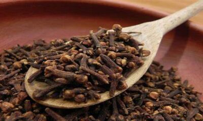 قبل الذهاب الى النوم ضع 5 اعياد قرنفل في كوب ماء وتناوله وشاهد النتيجه بعد 10 دقائق فقط!!
