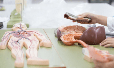 3 أعضاء في جسمك يمكن العيش بدونها.. لن تتوقعها
