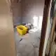 العثور على تمساح النيل وثعبان الأناكوندا داخل منزل في اسطنبول