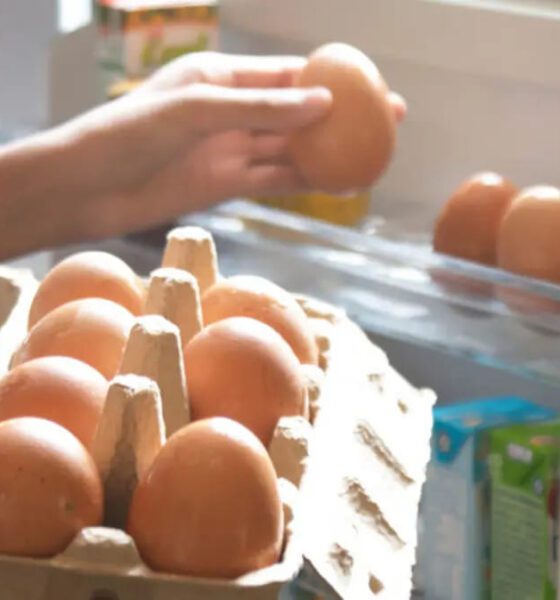 ماذا يحدث لجسمك بعد 14 يوماً من تناول البيض؟.. لن تتوقع الإجابة