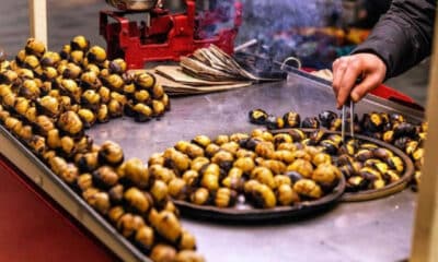 زيادة بنسبة 70 % على أسعار الكستناء في تركيا