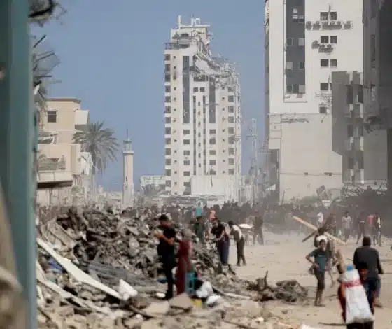 اللجنة المصرية تعلن رابطاً لتنسيق عودة النازحين إلى شمال غزة وتتكفل بنقلهم مجاناً