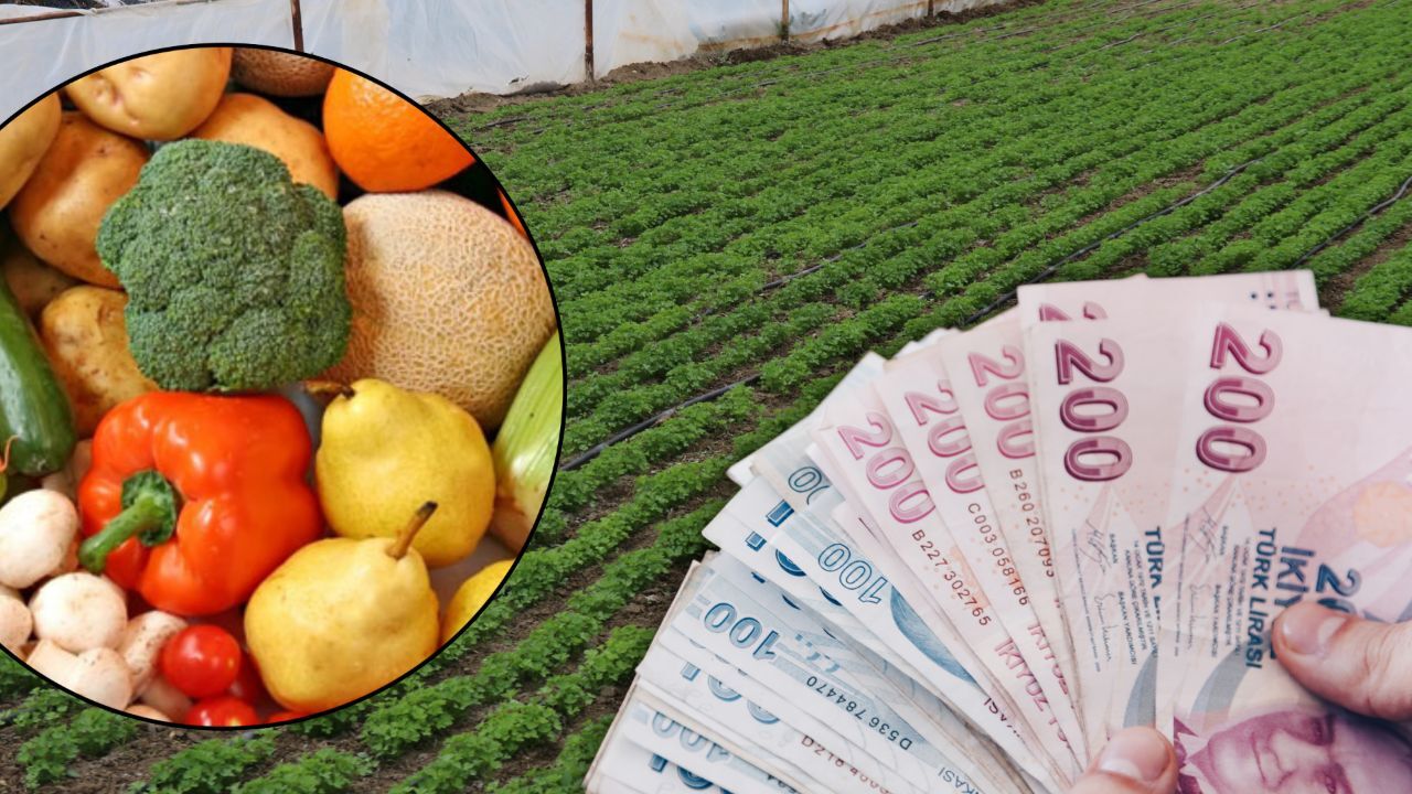 أسعار الخضار والفواكه تثير القلق! والمحاصيل في تركيا في خطر