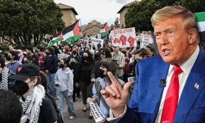 ترامب يفرض عقوبات على جامعة هارفارد بسبب غزة! تعليق تصريح قبول الطلاب الأجانب