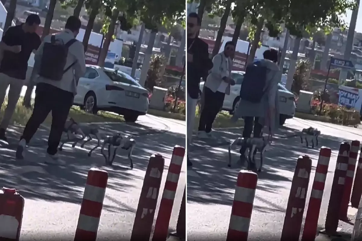تركيا اليوم كلاب آلية تجوب شوارع إسطنبول في مشهد غير مسبوق! كلاب آلية تجوب شوارع إسطنبول في مشهد غير مسبوق!