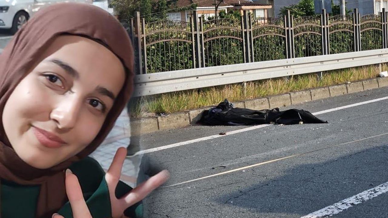 نحلة تتسبب في حادث سير مفجع في تركيا.. وفاة شقيقين وإصابة الأسرة