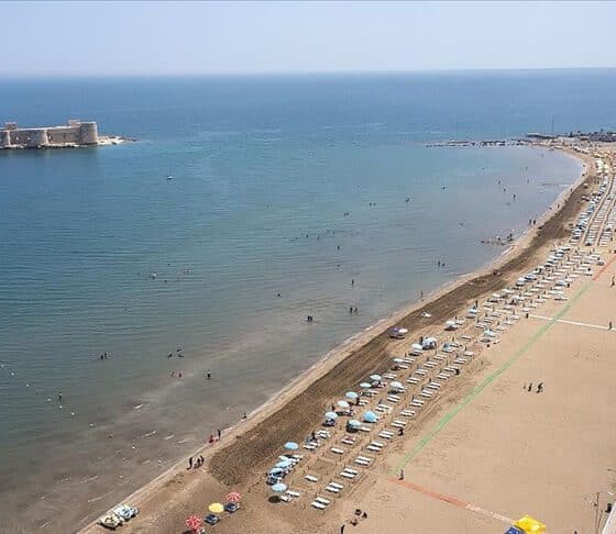 هل توجد أسماك قرش في تركيا.. بيان عاجل من المحافظ