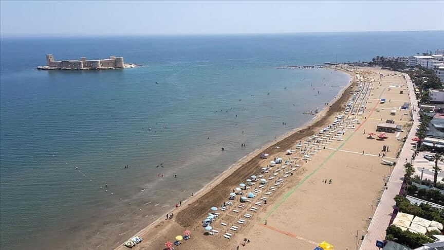 هل توجد أسماك قرش في تركيا.. بيان عاجل من المحافظ