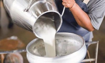 مطالبات برفع أسعار الحليب في تركيا إلى هذا الحد!