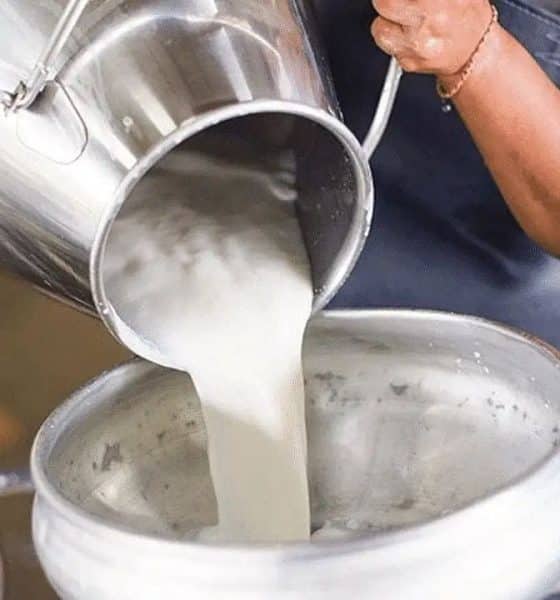مطالبات برفع أسعار الحليب في تركيا إلى هذا الحد!