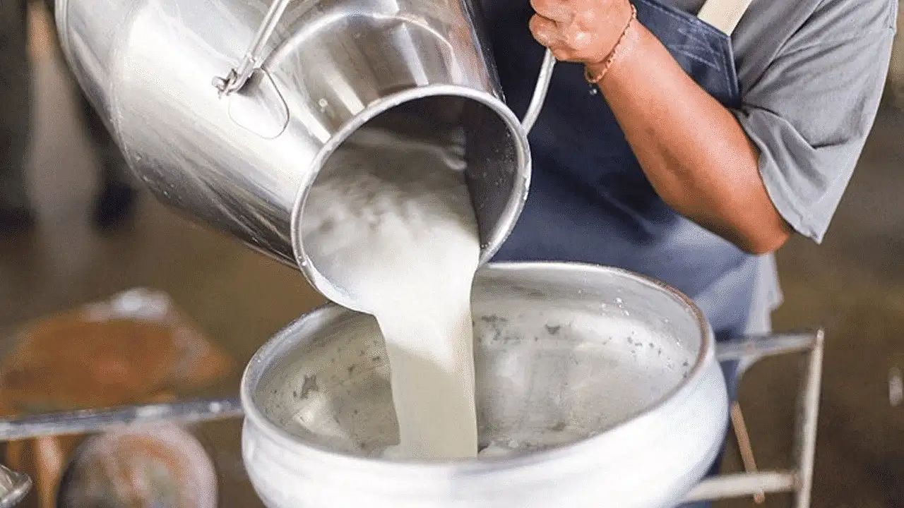 مطالبات برفع أسعار الحليب في تركيا إلى هذا الحد!