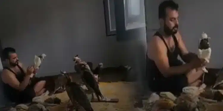 تركيا اليوم القبض على زعيم “عصابة صيد الطيور” للأثرياء العرب في تركيا القبض على زعيم “عصابة صيد الطيور” للأثرياء العرب في تركيا