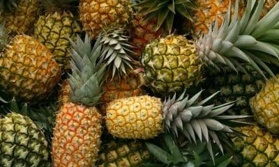 6 أشخاص يجب عليهم تجنب تناول الأناناس