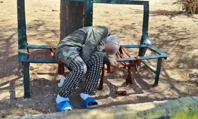 صورة امرأة سورية تفارق الحياة وحيدة على مقعد حديقة تهز منصات التواصل