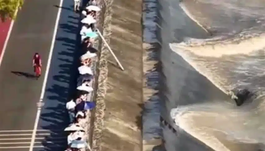 تركيا اليوم "ذيل التنين الإلهي".. ظاهرة بحرية في الصين تبهر العالم (شاهد) "ذيل التنين الإلهي".. ظاهرة بحرية في الصين تبهر العالم (شاهد)