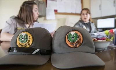 المديرية العامة للغابات في تركيا تطلق حملة توظيف كبرى.. هذه هي المهن المطلوبة